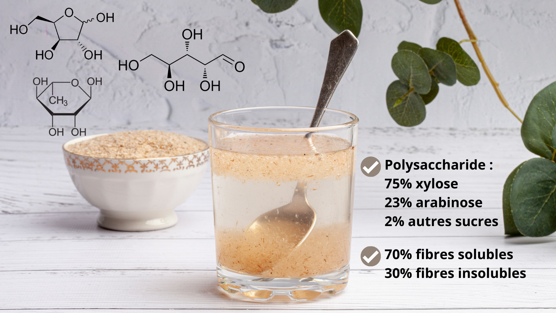 Composition du mucilage du psyllium blond en fibres solubles et insolubles